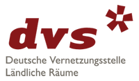 logo_dvs.png